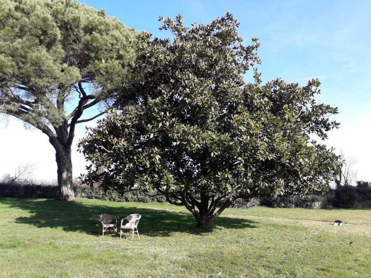 Hotel Antico Borgo di Sutri Esterno foto